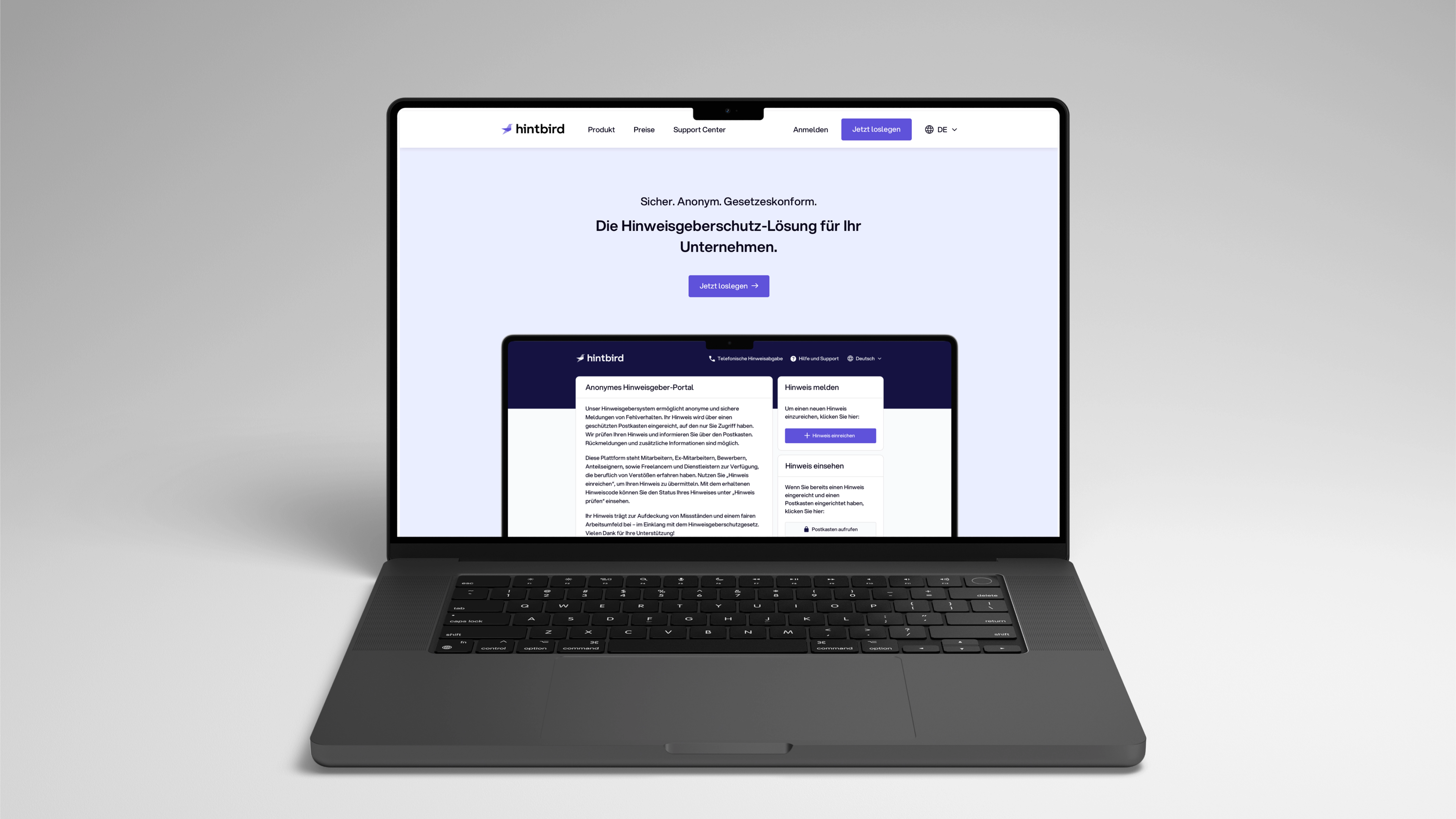 Hintbird-Plattform als Laptop-Mockup