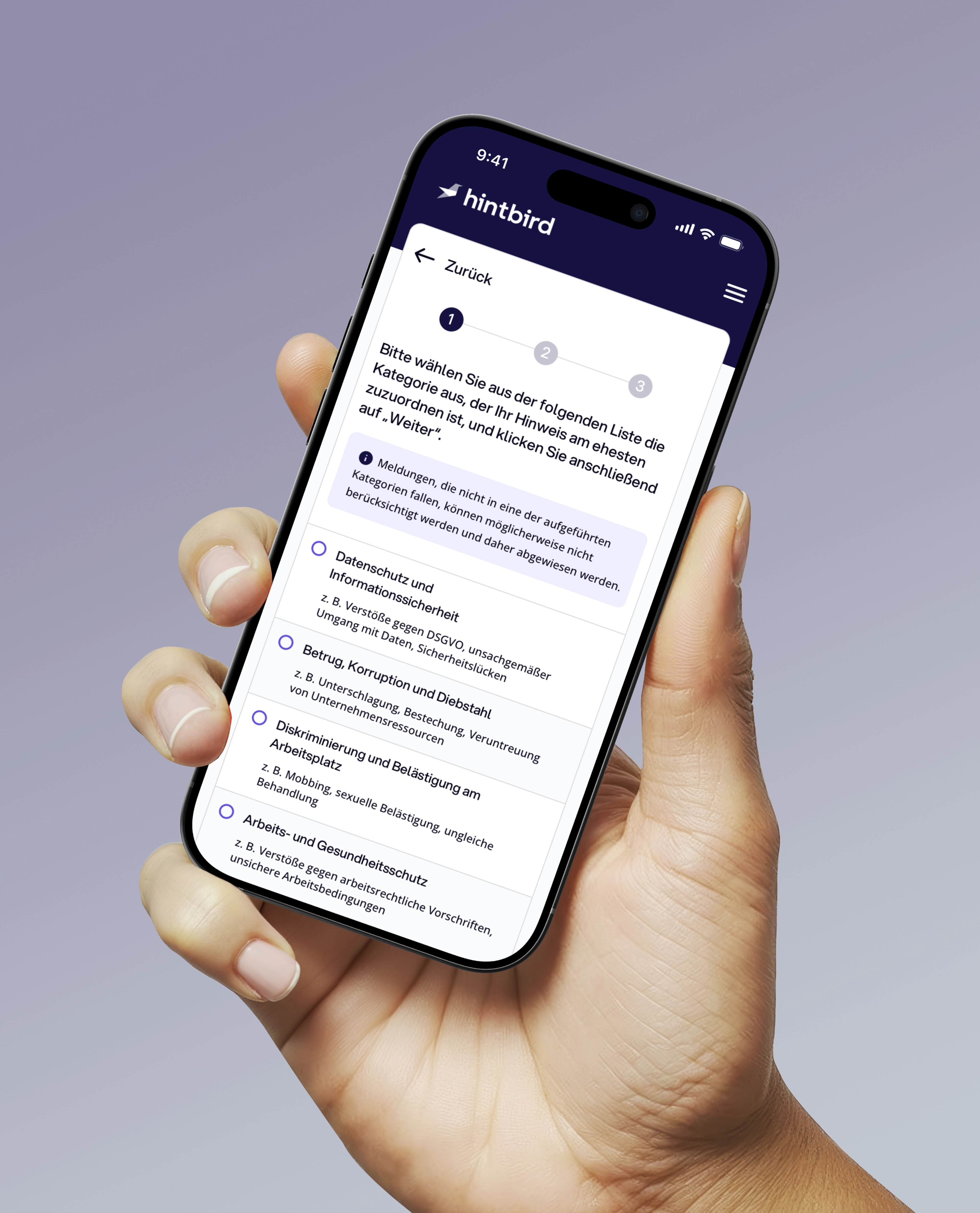 Mobile Darstellung Hinweisschutz Formular