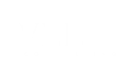 Logo: Velit Consulting